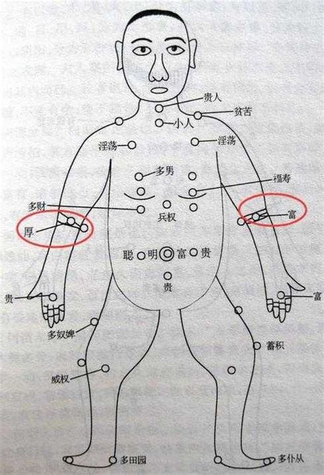 手臂內側手臂有痣|痣的位置透露出這些訊息！上手臂有痣不乏追求者、手掌有痣=財。